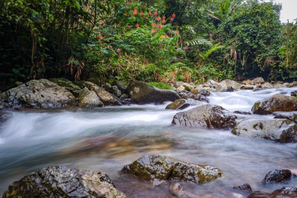 Jimmers Mountain Resort Puncak Exteriér fotografie